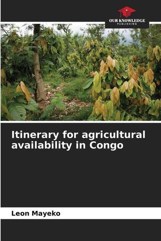 Itinerary for agricultural availability in Congo