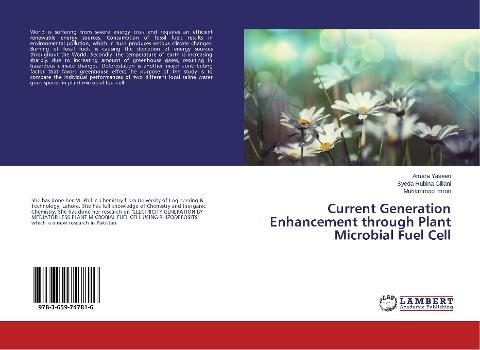 Current Generation Enhancement through Plant Microbial Fuel Cell