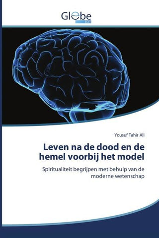 Leven na de dood en de hemel voorbij het model