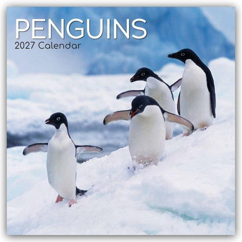 Penguins – Pinguine 2027 – 16-Monatskalender