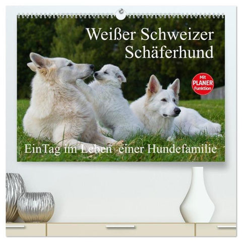 Weißer Schweizer Schäferhund - Ein Tag im Leben einer Hundefamilie (hochwertiger Premium Wandkalender 2026 DIN A2 quer), Kunstdruck in Hochglanz