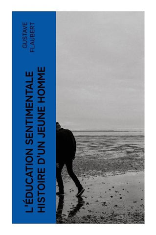 L'Éducation sentimentale histoire d'un jeune homme