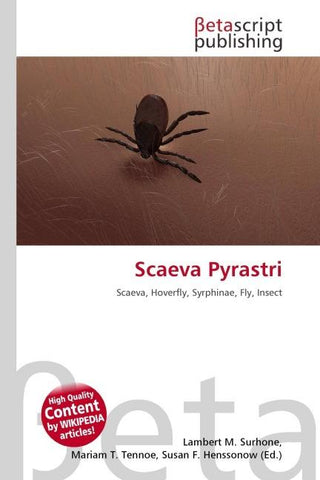 Scaeva Pyrastri