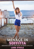 Menage in Soffitta