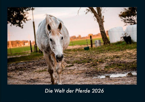 Die Welt der Pferde 2026 Fotokalender DIN A4