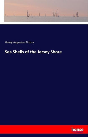 Sea Shells of the Jersey Shore