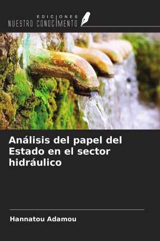 Análisis del papel del Estado en el sector hidráulico