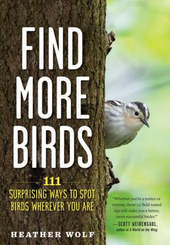 Find More Birds