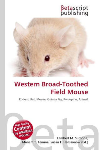 Western Broad-Toothed Field Mouse