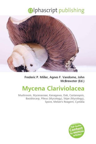 Mycena Clariviolacea