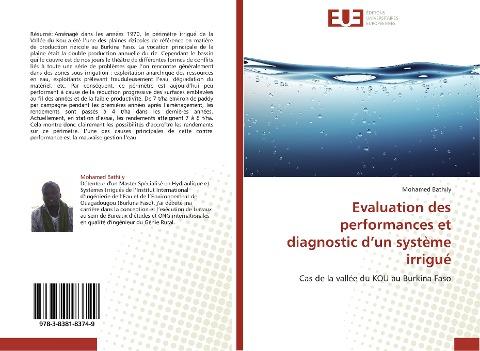 Evaluation des performances et diagnostic d'un système irrigué