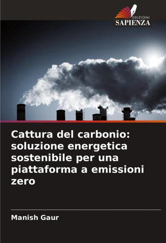 Cattura del carbonio: soluzione energetica sostenibile per una piattaforma a emissioni zero
