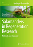Salamanders in Regeneration Research