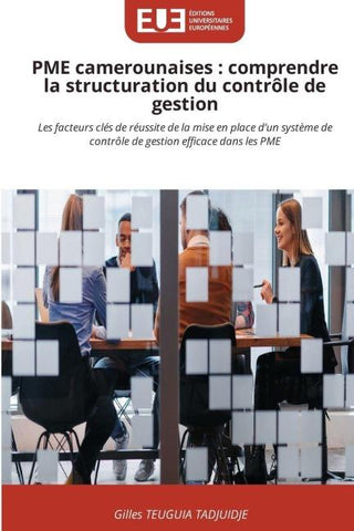 PME camerounaises : comprendre la structuration du contrôle de gestion