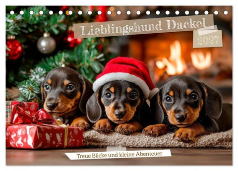 Lieblingshund Dackel (Tischkalender 2027 DIN A5 quer), CALVENDO Monatskalender