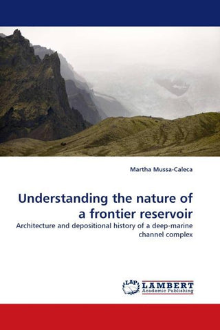 Understanding the nature of a frontier reservoir