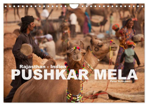 Rajasthan, Indien - Pushkar Mela (Wandkalender 2026 DIN A4 quer), CALVENDO Monatskalender