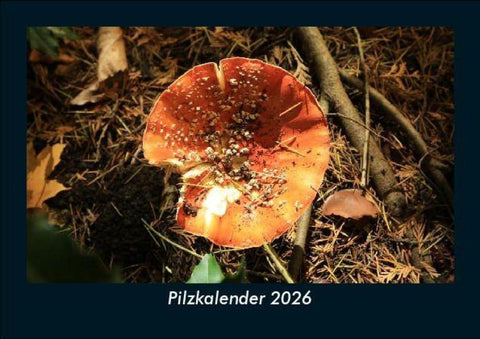 Pilzkalender 2026 Fotokalender DIN A5