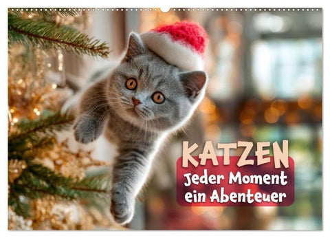 Katzen - Jeder Moment ein Abenteuer (Wandkalender 2027 DIN A2 quer), CALVENDO Monatskalender