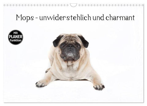 Mops - unwiderstehlich und charmant (Wandkalender 2026 DIN A3 quer), CALVENDO Monatskalender