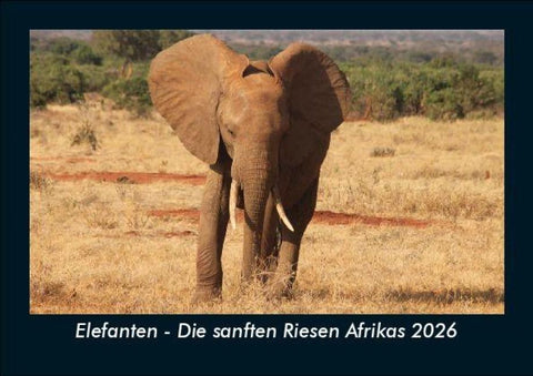 Elefanten - Die sanften Riesen Afrikas 2026 Fotokalender DIN A5