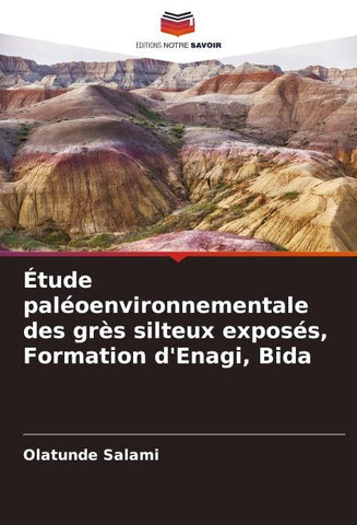 Étude paléoenvironnementale des grès silteux exposés, Formation d'Enagi, Bida