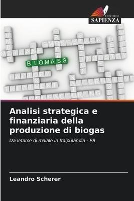Analisi strategica e finanziaria della produzione di biogas