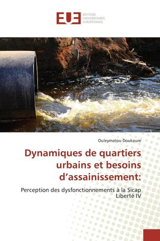 Dynamiques de quartiers urbains et besoins d'assainissement: