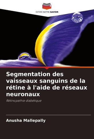 Segmentation des vaisseaux sanguins de la rétine à l'aide de réseaux neuronaux