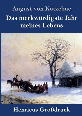 Das merkwürdigste Jahr meines Lebens (Großdruck)