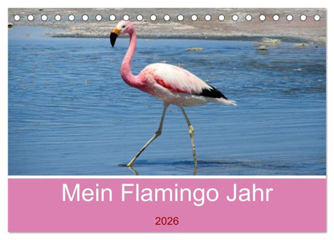 Mein Flamingo Jahr (Tischkalender 2026 DIN A5 quer), CALVENDO Monatskalender