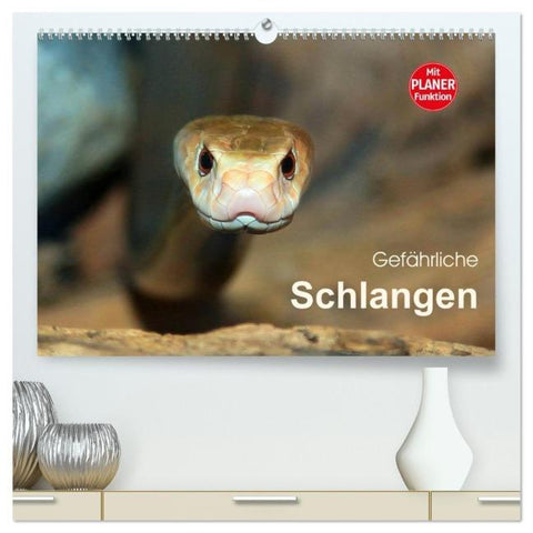 Gefährliche Schlangen (hochwertiger Premium Wandkalender 2026 DIN A2 quer), Kunstdruck in Hochglanz