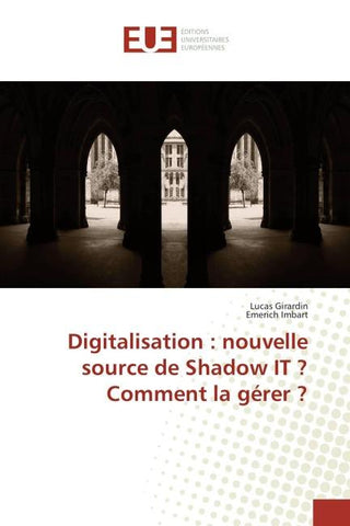 Digitalisation : nouvelle source de Shadow IT ? Comment la gérer ?