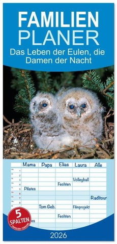 Familienplaner 2026 - Das Leben der Eulen, die Damen der Nacht mit 5 Spalten (Wandkalender, 21 x 45 cm) CALVENDO