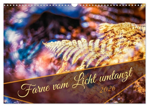 Farne vom Licht umtanzt (Wandkalender 2026 DIN A3 quer), CALVENDO Monatskalender