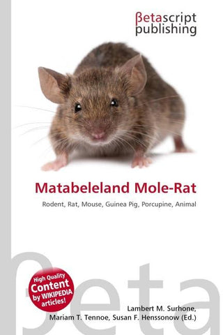 Matabeleland Mole-Rat