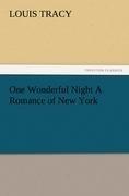 One Wonderful Night A Romance of New York