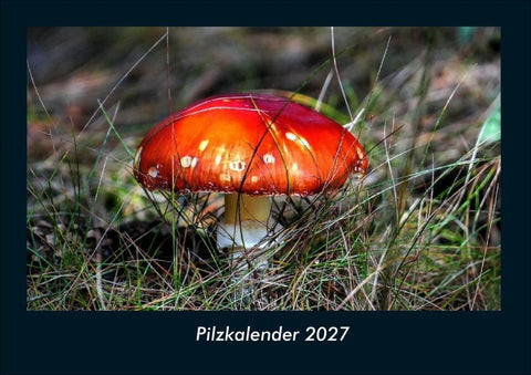 Pilzkalender 2027 Fotokalender DIN A4
