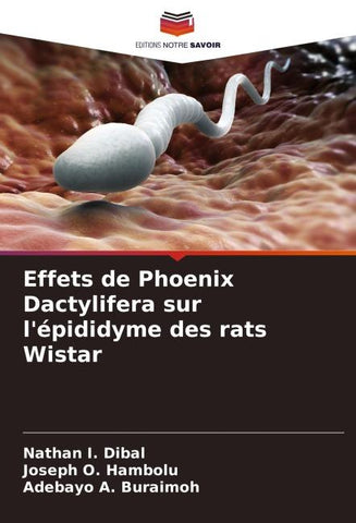 Effets de Phoenix Dactylifera sur l'épididyme des rats Wistar
