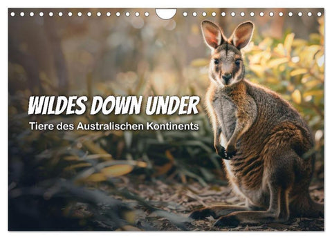 Wildes Down Under: Tiere des Australischen Kontinents (Wandkalender 2026 DIN A4 quer), CALVENDO Monatskalender