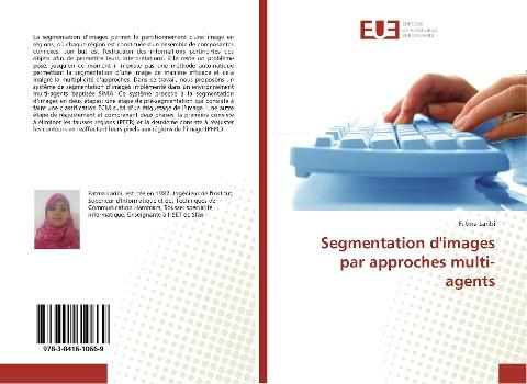 Segmentation d'images par approches multi-agents
