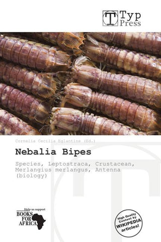 Nebalia Bipes