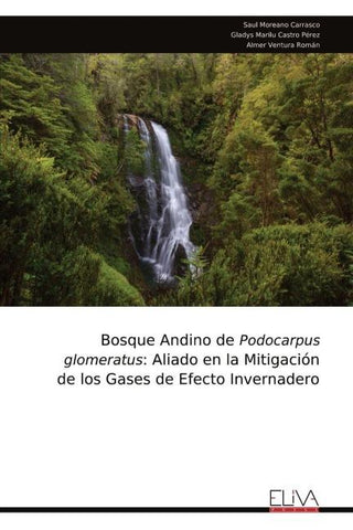 Bosque Andino de Podocarpus glomeratus