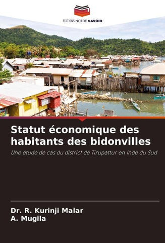 Statut économique des habitants des bidonvilles
