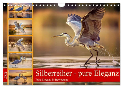 Silberreiher - pure Eleganz (Wandkalender 2027 DIN A4 quer), CALVENDO Monatskalender
