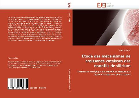 Etude des mécanismes de croissance catalysés des nanofils de silicium