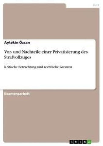 Vor- und Nachteile einer Privatisierung des Strafvollzuges