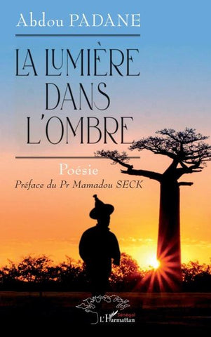 La lumière dans l'ombre