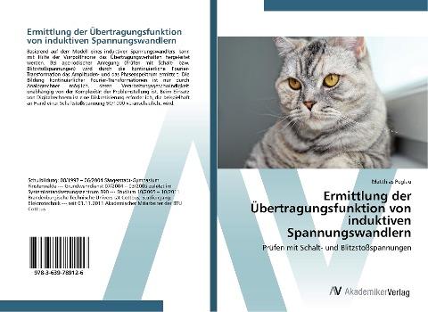 Ermittlung der Übertragungsfunktion von induktiven Spannungswandlern