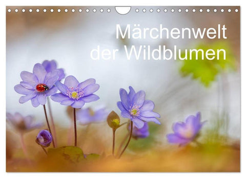 Märchenwelt der Wildblumen (Wandkalender 2026 DIN A4 quer), CALVENDO Monatskalender